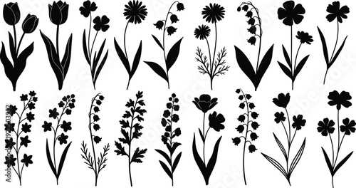 Black silhouette floral set with tulips poppies daisies lilies of the valley cosmos bellflowers vector illustration for spring summer botanical design