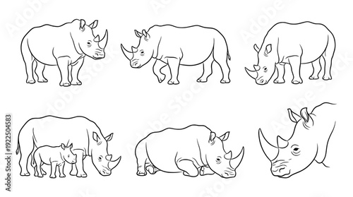 rhino, 6 black delicate line drawings vector set collection , white background , PNG and SVG