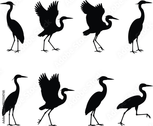 Set of heron bird silhouettes in various poses, flying and standing wading birds isolated on white background, black vector illustration collection for design
