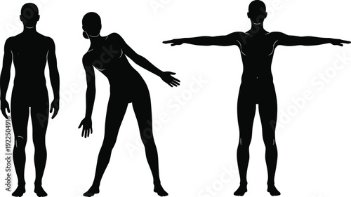 Black silhouette male and female human body figures in different poses, front side and arms extended, anatomy proportion reference vector illustration