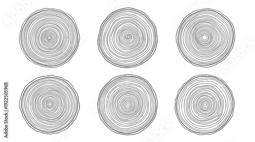 tree ring, 6 black delicate line drawings vector set collection , white background , PNG and SVG