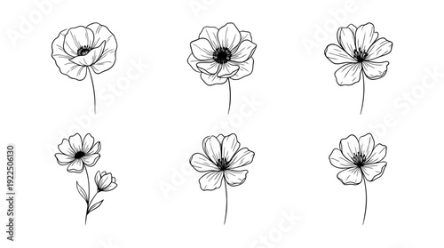 vulnerability flower, 6 black delicate line drawings vector set collection , white background , PNG and SVG