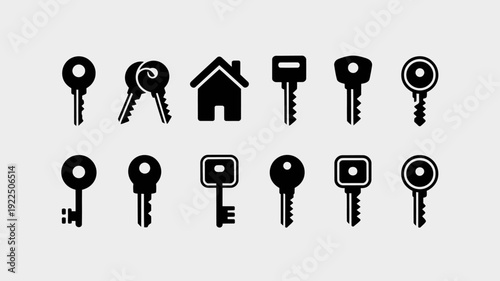 Keys to Security: An assortment of classic keys, each with its unique design, meticulously arranged, symbolizing security, access, and the gateway to home.