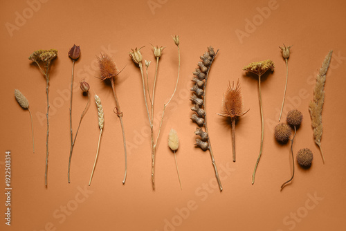 Composition with different ...