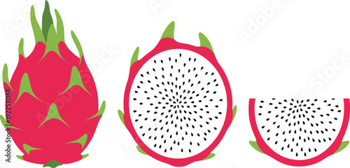 Dragon Fruit Vector Set with Whole Fruit Half and Slice Isolated on White Background for Tropical Food Design