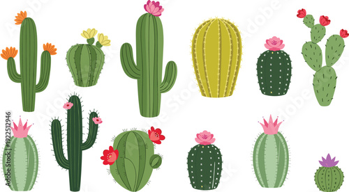 Blooming Cactus and Succulent Vector Illustration Set with Pink and Yellow Flowers Isolated on White Background for Desert Botanical Design