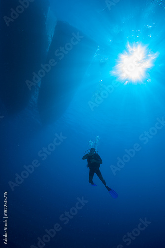 Wallpaper Mural Egypt, Sharm El Sheikh, Diver at safety stop Torontodigital.ca