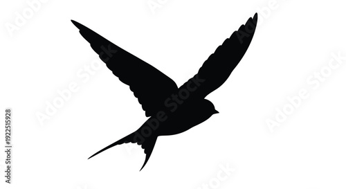 A striking black bird in flight beautifully captured as a silhouette