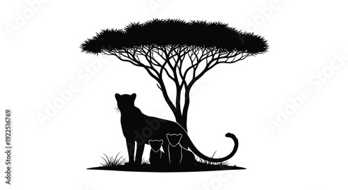African lion family under acacia tree dramatic black silhouette