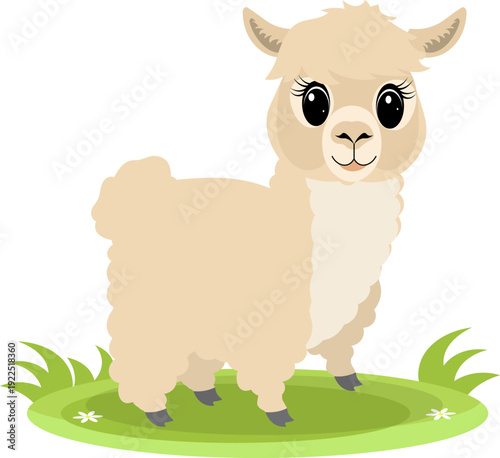 Farm Animals. Cute farm. A cheerful llama stands on the green grass. Collection of farm animals. Flat vector illustration. Isolated