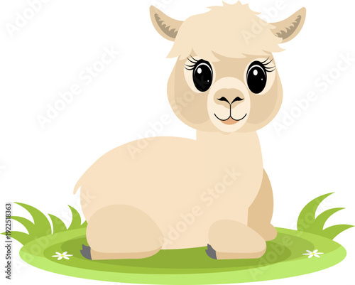Farm Animals. Cute farm. A baby llama lies on the green grass. Collection of farm animals. Flat vector illustration. Isolated