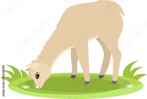 Farm Animals. Cute farm. A cute llama is eating grass. Collection of farm animals. Flat vector illustration. Isolated