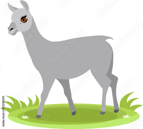 Farm Animals. Cute farm. A llama walks on green grass. Collection of farm animals. Flat vector illustration. Isolated