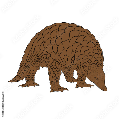 Pangolin vector illustration, detailed scaly anteater wildlife animal isolated on white background, realistic nature design perfect for conservation, education, and zoology graphics.