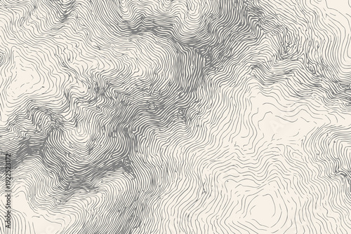 Картината върху платно Flowing abstract lines forming a premium decorative texture
