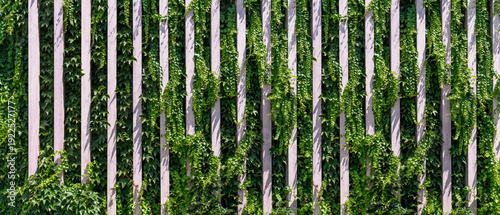Wallpaper Mural Vertical garden on a green wall. Environmentally friendly urban space Torontodigital.ca