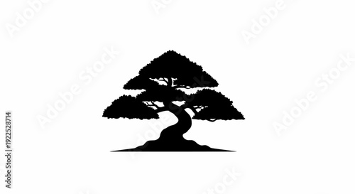 Silhouette of a twisted tree with sprawling branches.