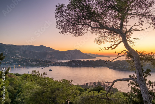 Foto Panorama of Luxury Yachts in Saint Jean Cap Ferrat Bay