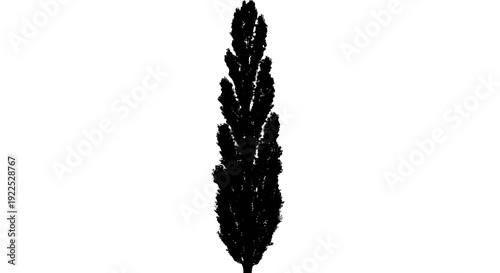 Silhouette of a single plant or flower against a white background.