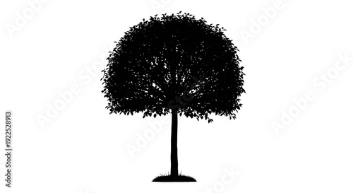 Silhouette of a tree with dense foliage against a white background.
