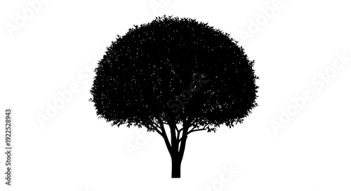 Silhouette of a tree with lush foliage against a white background.