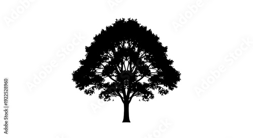 Silhouette of a tree with lush foliage against a white background.