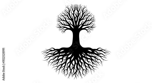 Black silhouette of a tree with extensive roots and bare branches.