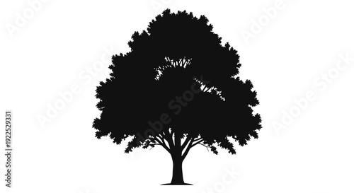 Black silhouette of a tree with dense foliage on white background.