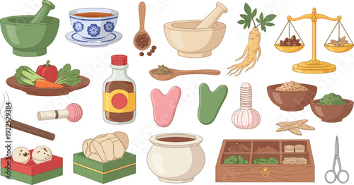 Traditional Herbal Medicine Set with Mortar Pestle Roots Bottles and Natural Remedies Vector Illustration