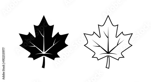 Maple leaf designs: black and white outline illustrations for canadian symbols Vector