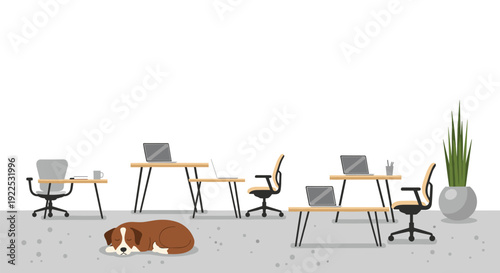 Open-plan office with multiple desks, chairs, laptops, and a tall plant, featuring a sleeping dog on the floor.