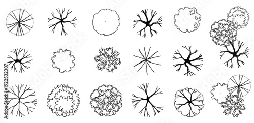 Vector set of Top view  tree for outdoor plan or map and architecture drawing, elements for environment and garden ,botanical elements ,Blooming flowers in spring,tropical plants element