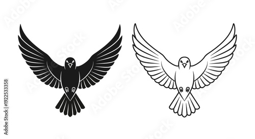 Black and white birds in flight, eagle and dove illustration, symbolic artwork Vector