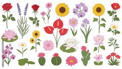 Beautiful collection of various colorful flowers and plants including roses, sunflowers, orchids, lavender, and succulents for nature design.