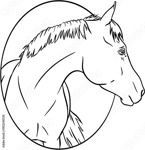 Hand drawn line art horse head portrait isolated on transparent background