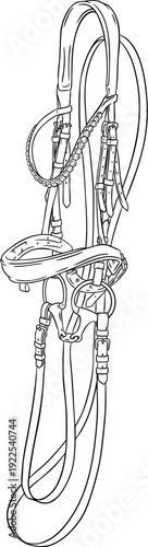 Hand drawn line art  leather bridle for horse riding and dressage or jumping sport show isolated on transparent background