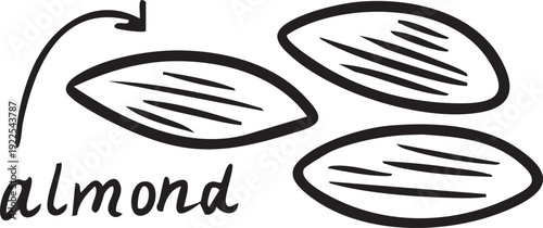 Black and white line art vector illustration of almonds with text, high protein nuts snack