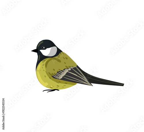 Vector illustration of a black and yellow great tit.