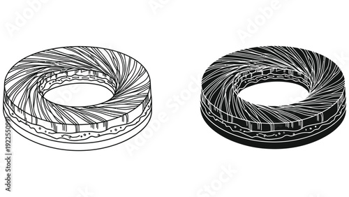 vector illustration of a black and white eye