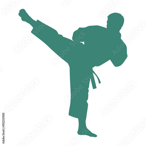 Martial Artist Performing High Kick Silhouette.