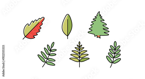 Cedar leaf Line art minimal smooth color illustration