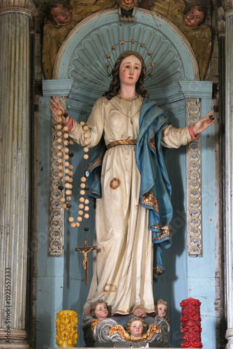 Our Lady of the Immaculate Conception, statue on the altar of the Immaculate Conception in the parish church of Saints John and Paul in Zbandaj, Croatia