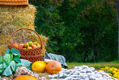 Foto Traditional harvest season still life rural basket and vegetables autumn country