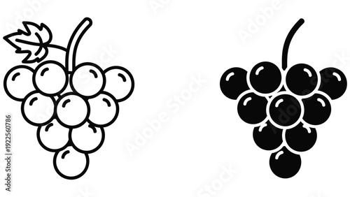 bunch of grapes vector illustration