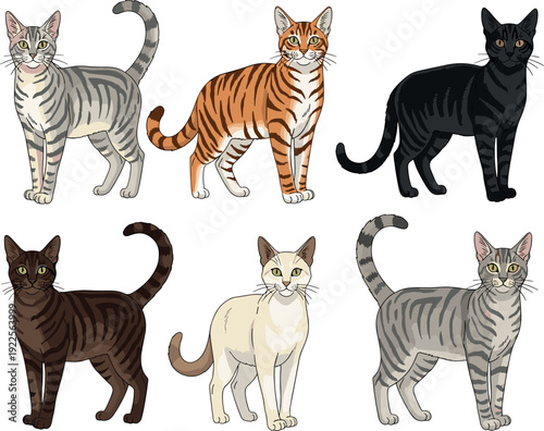 Domestic Cat Breeds Collection with Different Fur Colors and Patterns Realistic Vector Illustration Set