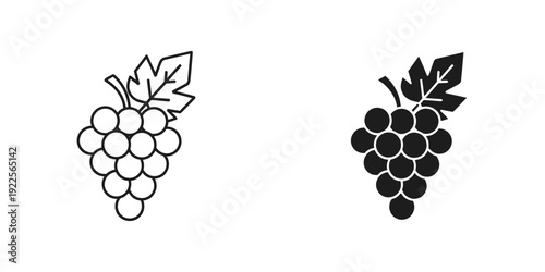 Fresh white and dark grapes illustration isolated on white background for healthy food and wine concept