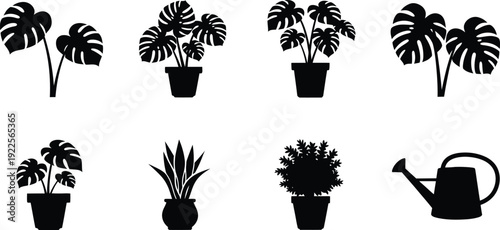 Icon set of tropical plants and gardening tools for designers and botanical illustrations