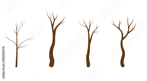 Tree branches and trunk, simple drawing. Vector illustration. Silhouette of winter trees without leaves and crown, isolated on a white background