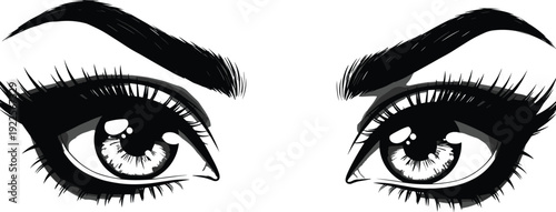 Beautiful Woman Eyes Illustration with Thick Eyelashes and Defined Eyebrows, Creative Female Gaze Vector Graphic for Beauty, Makeup, and Fashion Branding.