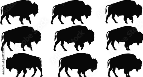 Black Bison Silhouette Icons Set, American Buffalo Poses for Wildlife Graphics, Wild West Prairie Animal Illustration for Nature and National Park Designs,